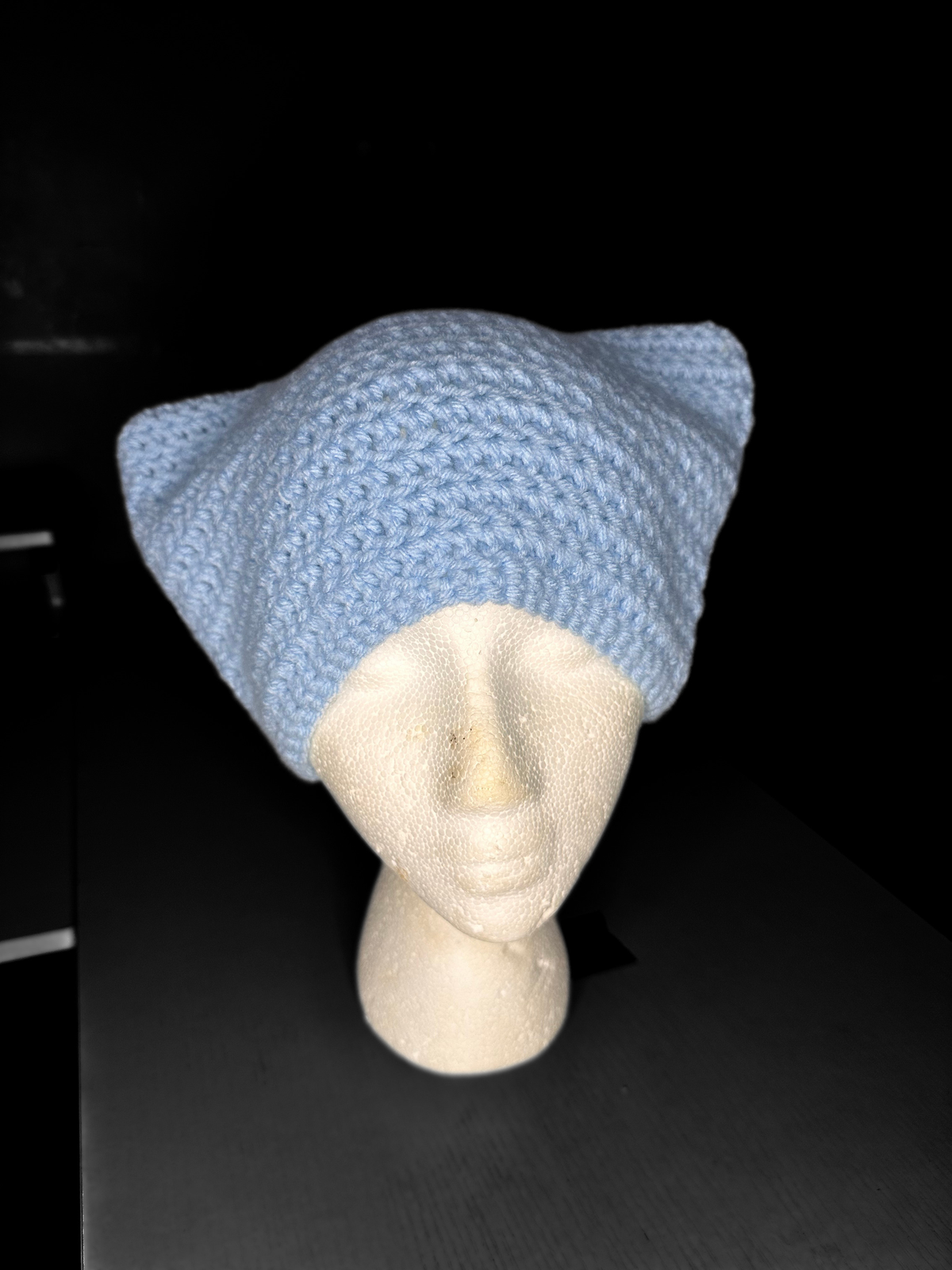 Brimless cat beanie